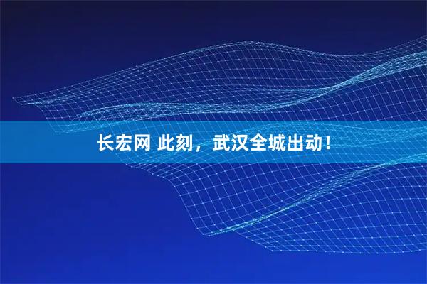 长宏网 此刻，武汉全城出动！