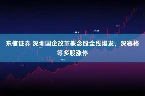 东信证券 深圳国企改革概念股全线爆发，深赛格等多股涨停