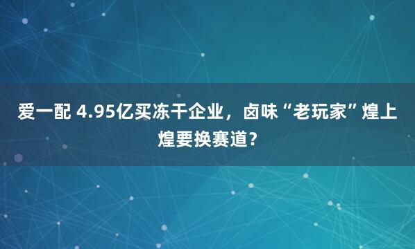爱一配 4.95亿买冻干企业，卤味“老玩家”煌上煌要换赛道？