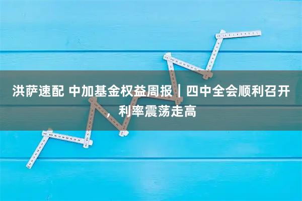 洪萨速配 中加基金权益周报︱四中全会顺利召开，利率震荡走高