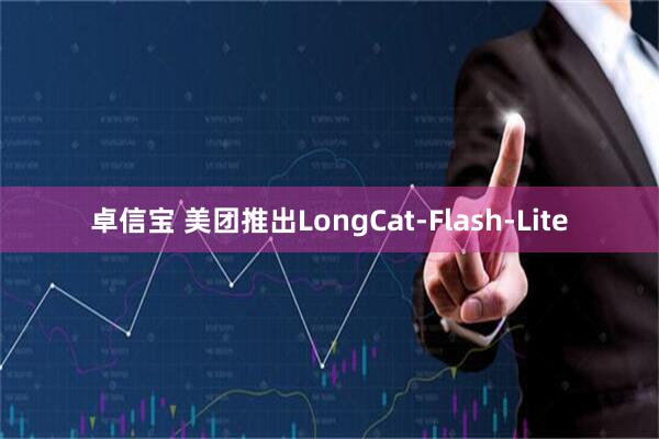 卓信宝 美团推出LongCat-Flash-Lite