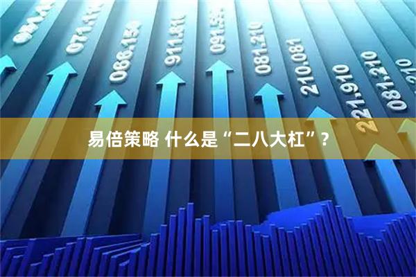 易倍策略 什么是“二八大杠”？