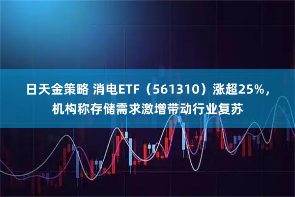 日天金策略 消电ETF（561310）涨超25%，机构称存储需求激增带动行业复苏